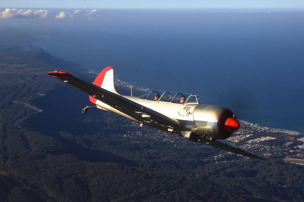 Yak 52TW in flight